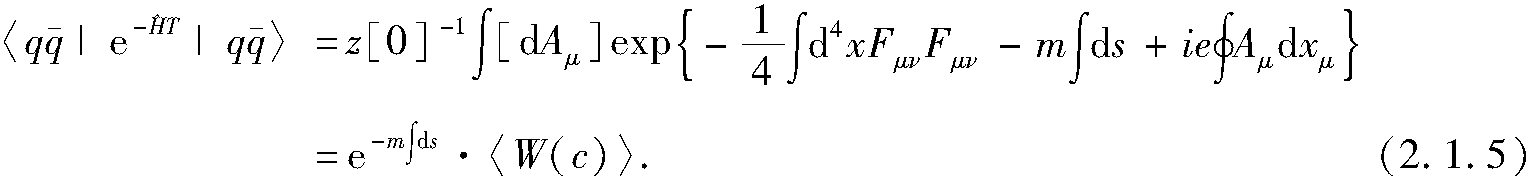 2.1.1 Wilson判據(jù)和Polyakov圈